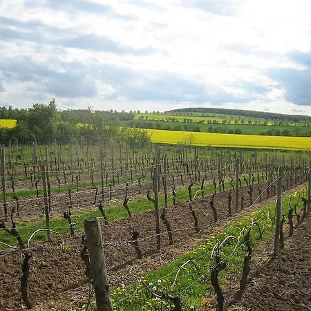 Apartamento Old Bakery Erbes-Budesheim